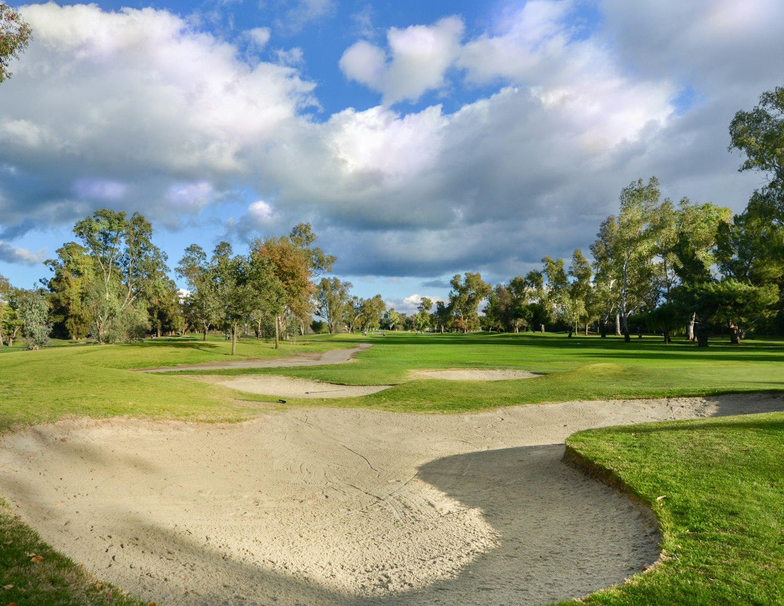 Golf course with a sand bunker in the foreground.