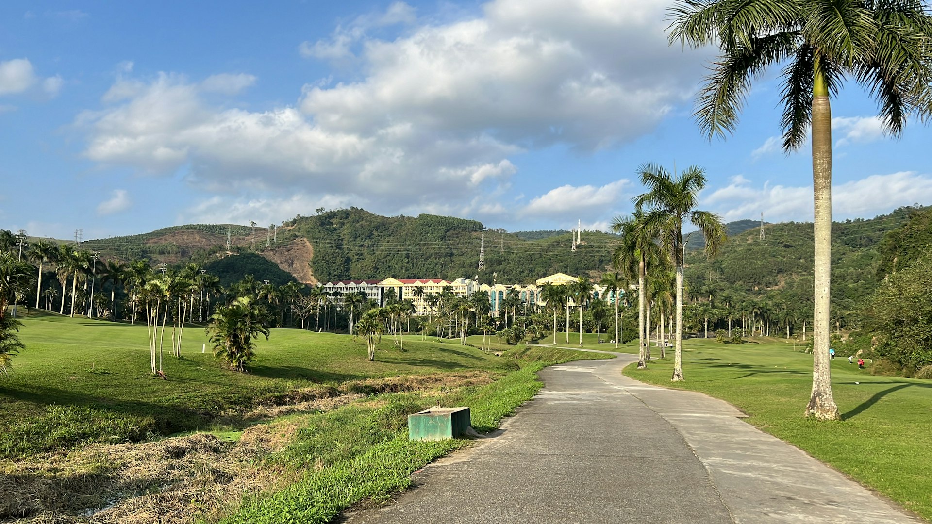 Golf course fairway framed by palm trees.